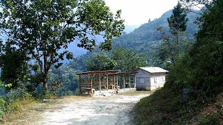 Sangser Village near Kalimpong ↑ K K Homestay ↓ Travel Vlog No 18 with Santanu Ganguly [upl. by Tristas]