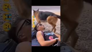 Amazing funny video🤣🤣trending youtubeshortsviralvideo funnyfunnyvideo facebook funny funny [upl. by Nemra]