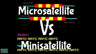 Difference Between Microsatellite and Minisatellite  Microsatellites Vs Minisatellite  STR Vs VNTR [upl. by Anzovin]