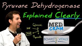 Pyruvate Dehydrogenase Deficiency Explained Clearly  Exam Practice Question [upl. by Assenab900]