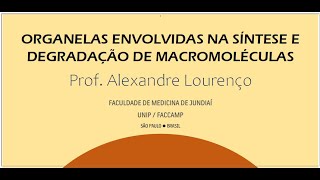 Organelas envolvidas na síntese e na degradação de macromoléculas [upl. by Barth]