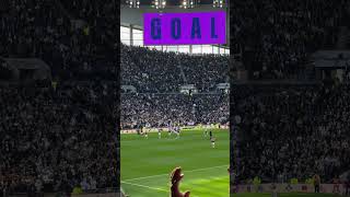 West Ham score own goal against Tottenham [upl. by Arrad]