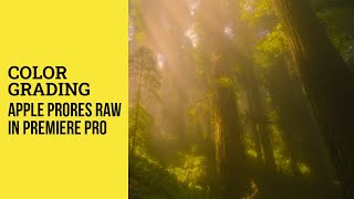 Color grading Apple ProRes RAW format in Premiere Pro [upl. by Ivad]