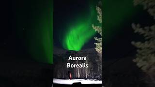 VIBRANT Northern Lights on Car Drive [upl. by Ecirtemed]