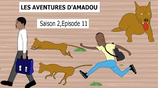 Les Aventures dAmadouSaison 2 Episode 11 [upl. by Conchita]