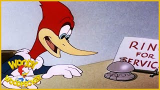 Woody Woodpecker  Woody Dines Out  Old Cartoon  Woody Woodpecker Full Episodes [upl. by Lia]