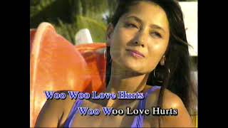 Love Hurts karaoke  Nazareth [upl. by Novihc]