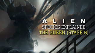 The Queen Xenomorph The Hive Matriarch Stage 6 XX121  Alien Species Explained [upl. by Burn886]