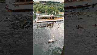 Windermere Lake Cruises  Lake District UK 🛳️🙂 shorts [upl. by Saltzman]