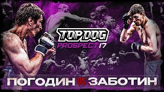 TOP DOG PROSPECT 17 Тула  Валера VS Погодин [upl. by Anoi]