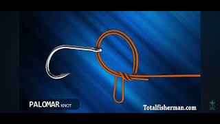 Palomar fishing knot foryou fishing tutorial tips [upl. by Caressa]