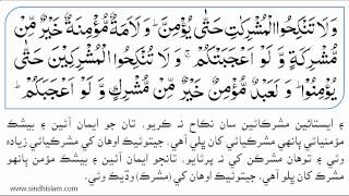 002 Surah Al Baqarah Part 2 of 3 with Sindhi Translation  Recited by Muhammad Siddique Minshawi [upl. by Rozanna]