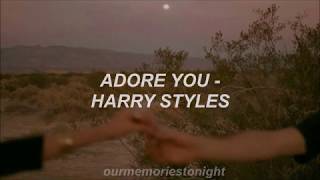 harry styles  adore you  lyrics [upl. by Ailemor]