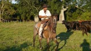 Horse Riding in Argentina [upl. by Madella]