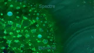 Radiohead  Spectre Subtitulado Español  Lyrics [upl. by Atived]