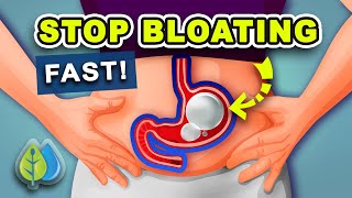 5 Ways to STOP Bloating Fast  How to Get Rid of Belly Bloating Fast [upl. by Nibroc]