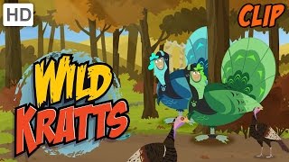 Wild Kratts – The Thanksgiving Hunt for Wild Turkeys [upl. by Bluefarb]