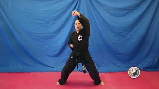 Kempo Karate  Eight Point Blocking System [upl. by Ardnuhsal790]