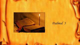 Catisma 1  Psalmii 1  8 [upl. by Gibbons819]