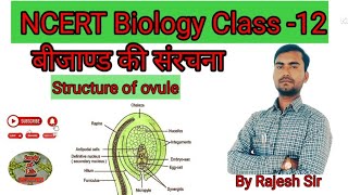 structureofovule rajeshsirbio biology neet ncertbiology rajeshsir बीजाण्ड [upl. by Orimar]