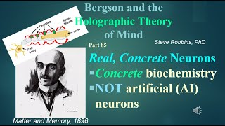 Bergson Holographic  85  Kochs Cell Types destroy AI [upl. by Obaza]