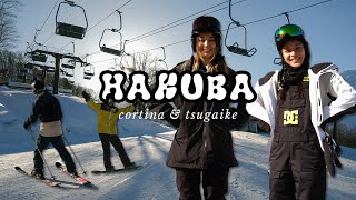 JAPOW cortina tsugaike resort tour  japan travel vlog [upl. by Elsworth]