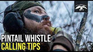 Pintail Whistle  Duck Calling Tips [upl. by Kala]