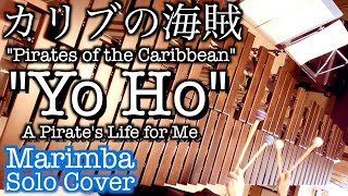 【カリブの海賊】『Yo Ho』 A Pirates Life for Me  Pirates Of The Caribbean  Marimba Solo Cover [upl. by Ahsel]