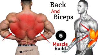 Back and Arm Workout for Beginners  Simple amp Effective [upl. by Haimerej]