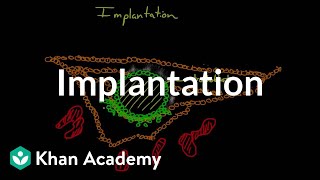 Implantation  Behavior  MCAT  Khan Academy [upl. by Hayilaa898]