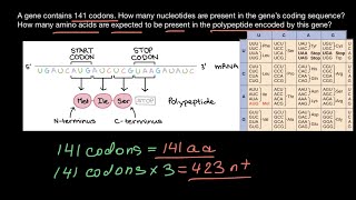 Codons nucleotides and amino acids explained [upl. by Tish]