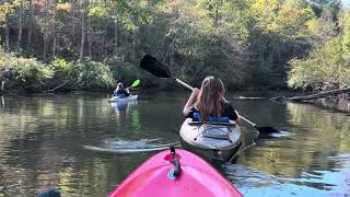 Toccoa River kayaking [upl. by Hedgcock]