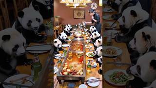 Pandas 🐼 Dinner 😍 shorts funny panda [upl. by Eade]