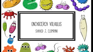 Onchocerca Volvulus [upl. by Enawyd]