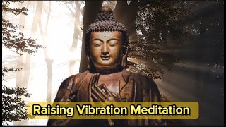 Raising Vibration Meditation [upl. by Yentiw239]