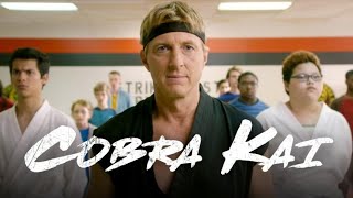 The Karate Kid  Cobra Kai  Sign MV [upl. by Kidder]