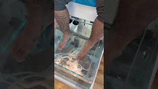 Dr Fish SpaVegas Bound😈 roadto1ksubs lasvegas fishpedicure fishes subscribe viralshorts [upl. by Eelyahs154]