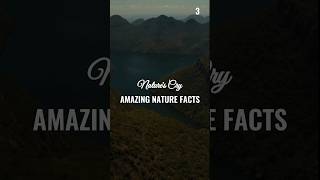 Nature’s Weirdest Wonders Giant Fungi and Zombie Ants  animalfacts animals [upl. by Alled]