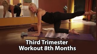 Third Trimester Workout 8th Months [upl. by Yluj292]