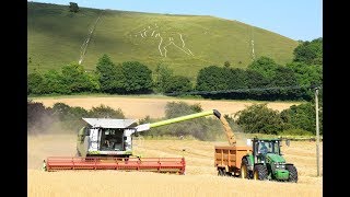 Claas Lexion 760 TT Harvesting Barley ☀️🌾 [upl. by Atimad845]