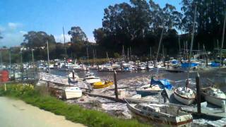 Tsunami Surge Santa Cruz Harbor 3112011  Spectator Freaks Out [upl. by Abbate]