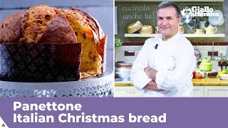 PANETTONE Italian Christmas bread traditional recipe [upl. by Ainekahs]