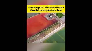 Yuncheng Salt Lake in North china Unveils Stunning Autumn Lookfyp chinatiktok tourism [upl. by Luwana]