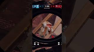 Your phone Ringing rainbowsixsiege gaming siegegaming r6 r6siege meme twitch funny [upl. by Atims]