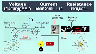 Voltage Current Resistance  Explanation in Tamil  மின்னழுத்தம் மின்னோட்டம் மின்தடை [upl. by Sudoeht]