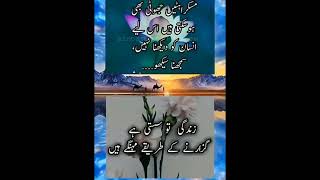 Muskuraty jhuti Golden Words In Urdu Urdu Quotes Islamic Information [upl. by Yelrebmyk]