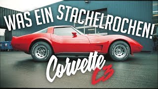 JP Performance  Was ein Stachelrochen  Chevrolet Corvette C3 [upl. by Noirret]