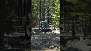 Offroad Fail Subaru Forester gets STUCK [upl. by Newel]