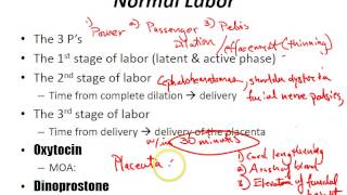 USMLE Review  Obstetrics Labor [upl. by Dinny]