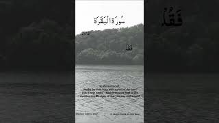 Surah Al Baqarah Ayat No 27273  Arabic Text  سورة البقره  With English Translation [upl. by Ammamaria]